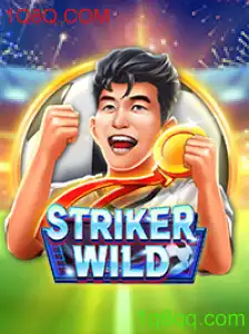 Explorando o Empolgante Mundo de StrikerWILD